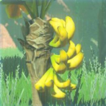 ツルギバナナの画像