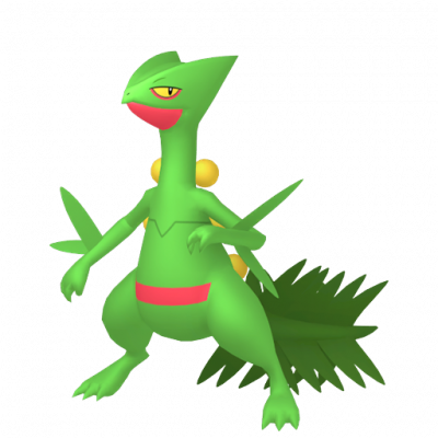 ポケモンfit ジュカイン　サンド　ヌマクロー　14点まとめ売り ポケモンfit ジュカイン サンド ヌマクロー 14点まとめ売り