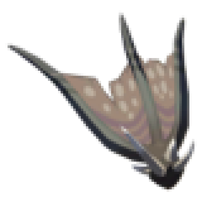 グリオークの羽の画像