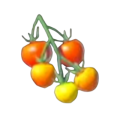 ハイラルトマト