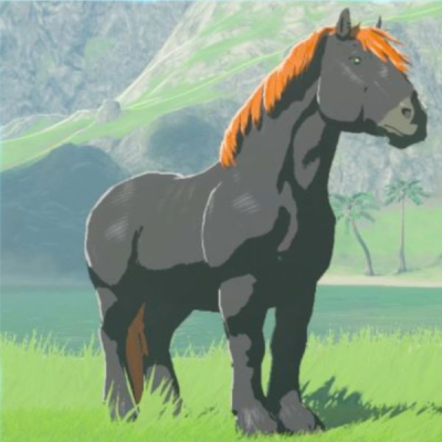 巨馬の画像