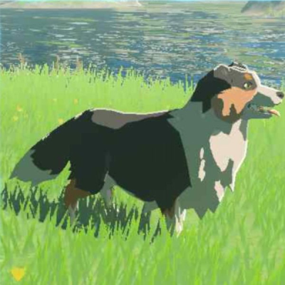 ハイリア犬の画像