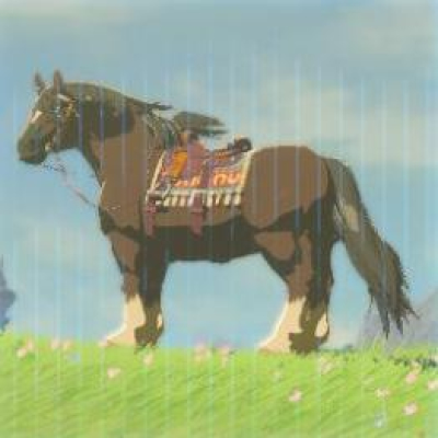 馬の画像