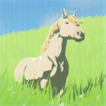 白馬の画像