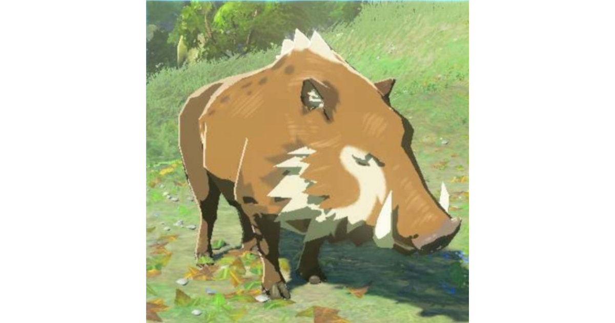 【ティアキン】「モリイノシシ」の生息場所、ドロップ素材まとめ【ゼルダの伝説 ティアーズオブザキングダム】